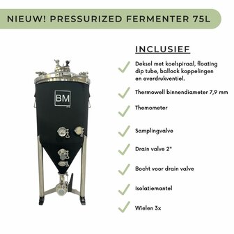 Pressurized Fermenter 75 L